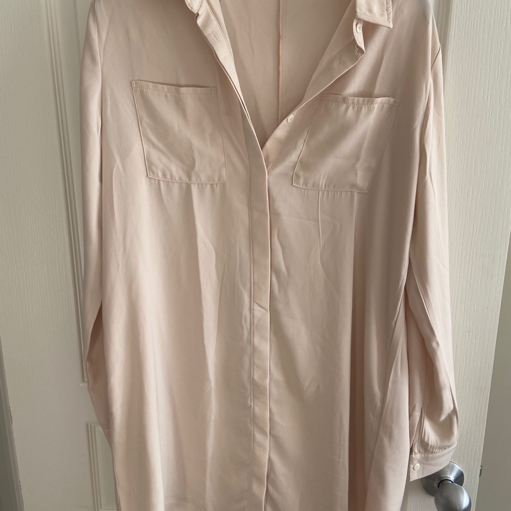 Aritzia oversized blouse